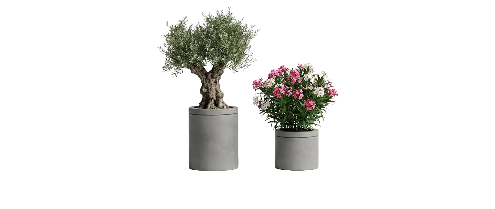 Große runde Pflanzgefäße aus Beton nehmen auch Sträucher und kleine Bäume auf. Aus der O Objekt- und Stadtmöbel-Kollektion Concrete Rounded von Betoniu Große runde Pflanzgefäße aus Beton nehmen auch Sträucher und kleine Bäume auf. Aus der O Objekt- und Stadtmöbel-Kollektion Concrete Rounded von Betoniu